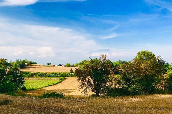 Quad ATV su sterrato tra le Colline Moreniche del Lago di Garda