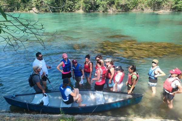 Aironi e cigni osservati durante il tour in canoa sul Mincio