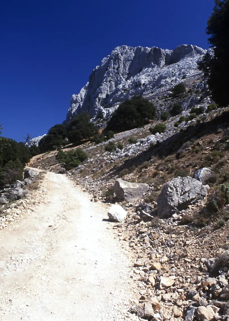 Uno sterrato tra le rocce del Supramonte in Sardegna