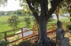 Yurta utilizzata come base per il corso di survival sul Lago di Garda