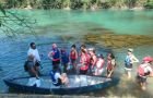 Aironi e cigni osservati durante il tour in canoa sul Mincio