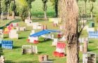 Addio al celibato con partita di paintball sul Lago di Garda